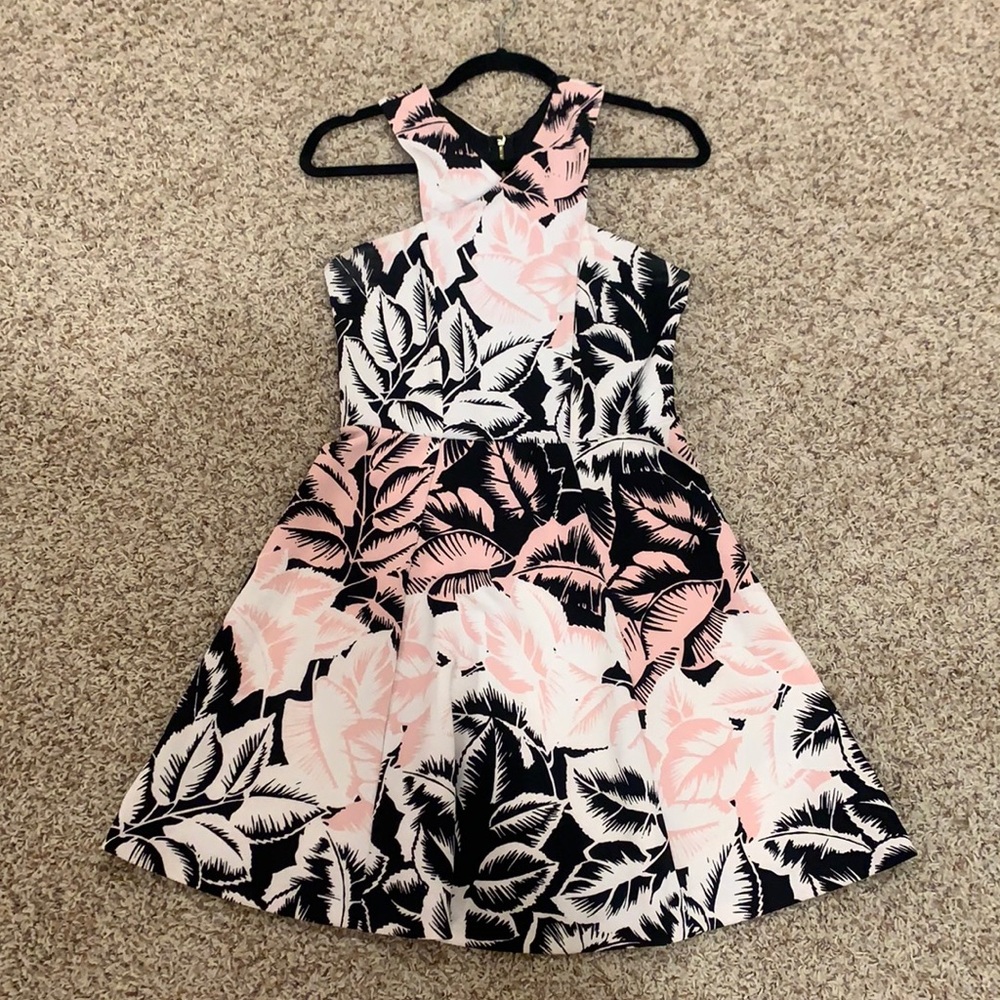 Express Floral Dress